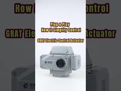 প্লাগ অ্যান্ড প্লেঃ এটি কীভাবে সরলতা নিয়ন্ত্রণ করে