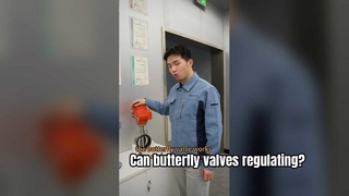 একটি প্রজাপতি বল প্রবাহ নিয়ন্ত্রণ করতে পারে-বিপজ্জনক এলাকার জন্য বিস্ফোরণ প্রমাণ ভালভ